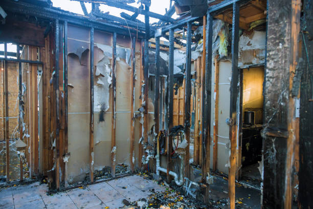 Professional Smoke Damage Removal technician working in Lansdale, PA